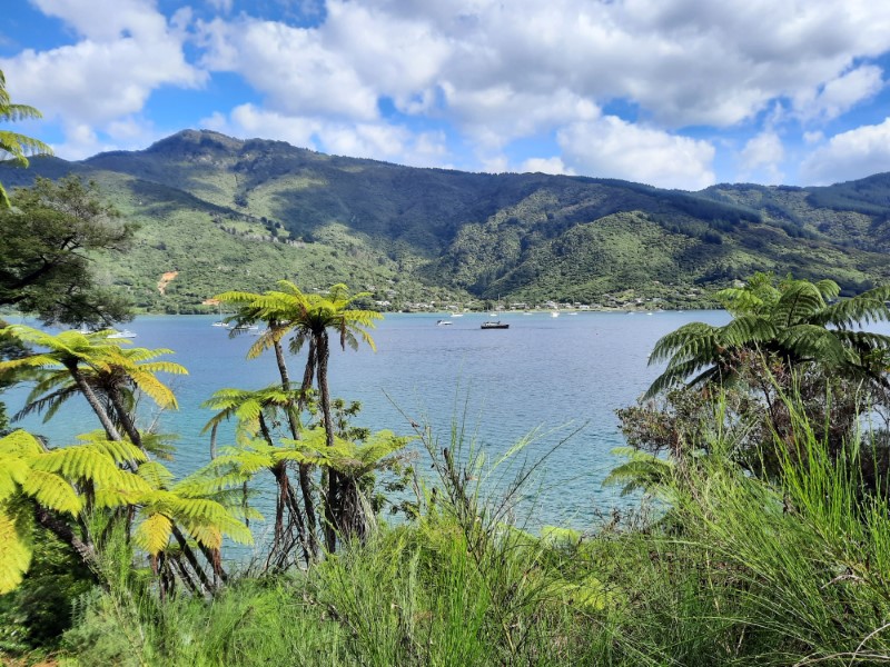 Marlborough Sounds