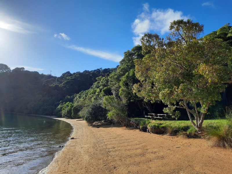 Marlborough Sounds