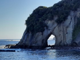 Photos from Fiordland NZ