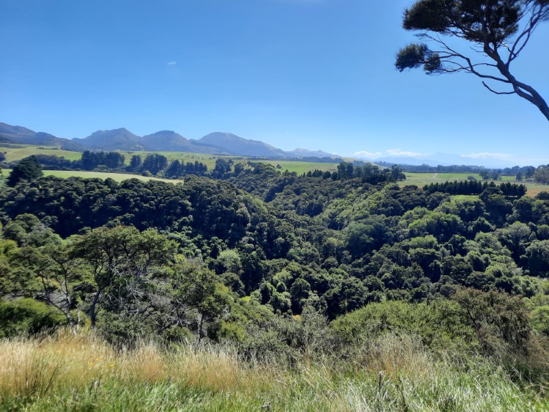 Kaikoura Coast