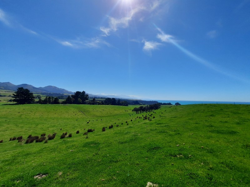 Kaikoura Coast