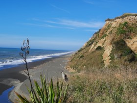 Kaikoura Coast