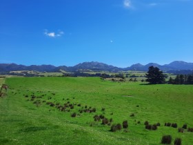 Kaikoura Coast