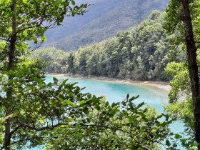 Photos from Pelorus Sound