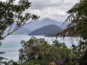 Photos from Pelorus Sound