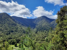 Photos from Pelorus Sound