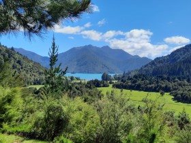 Photos from Pelorus Sound