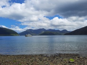 Photos from Pelorus Sound