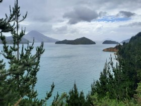 Photos from Pelorus Sound