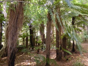 Photos from Pelorus Sound