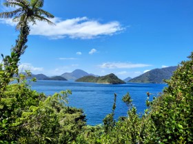 Photos from Pelorus Sound