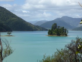 Photos from Pelorus Sound