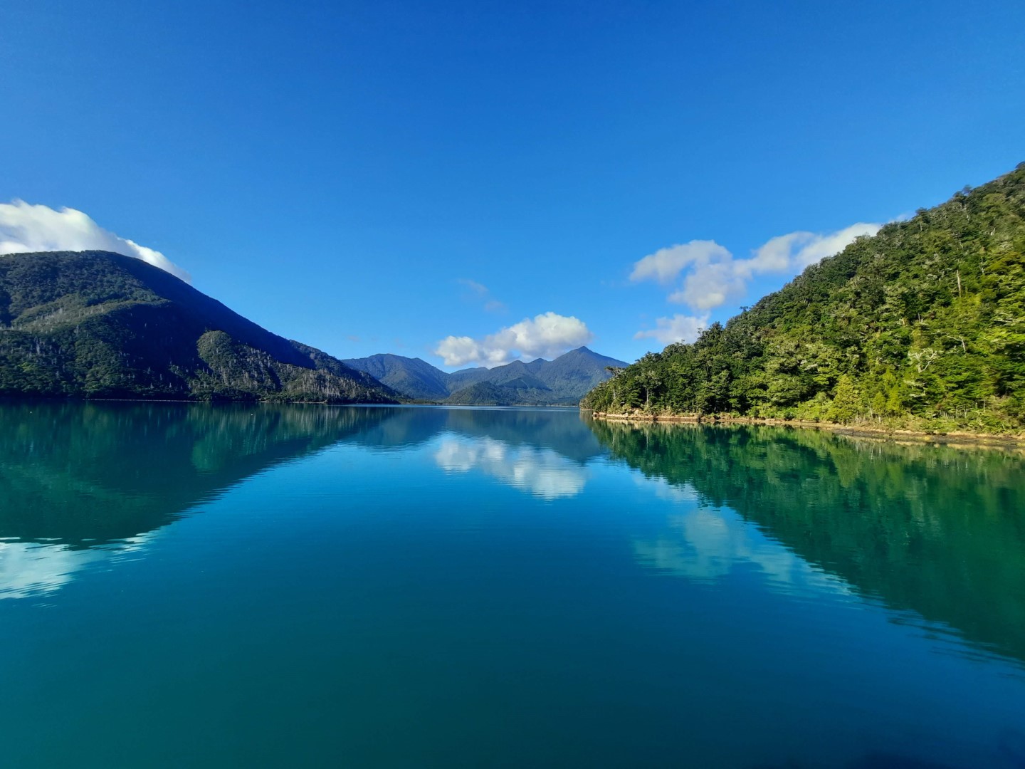 Pelorus Sound