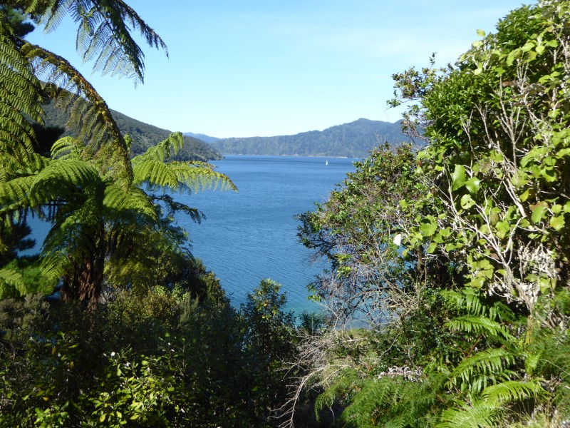 Queen Charlotte Track