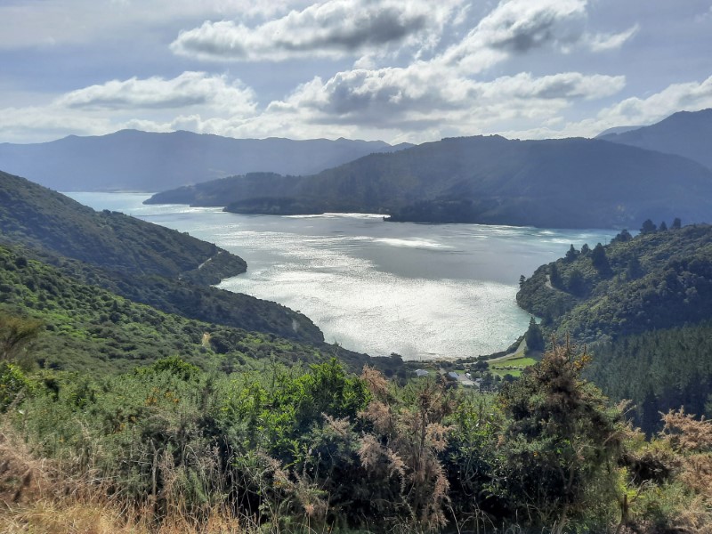 Queen Charlotte Track