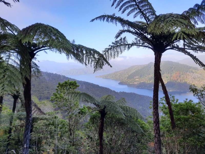 Queen Charlotte Track