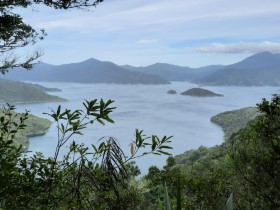 Photos from Queen Charlotte Track