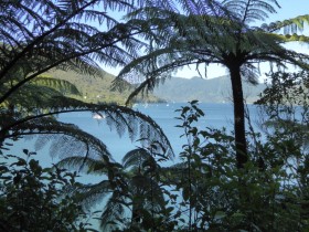 Photos from Queen Charlotte Track