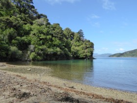 Photos from Queen Charlotte Track