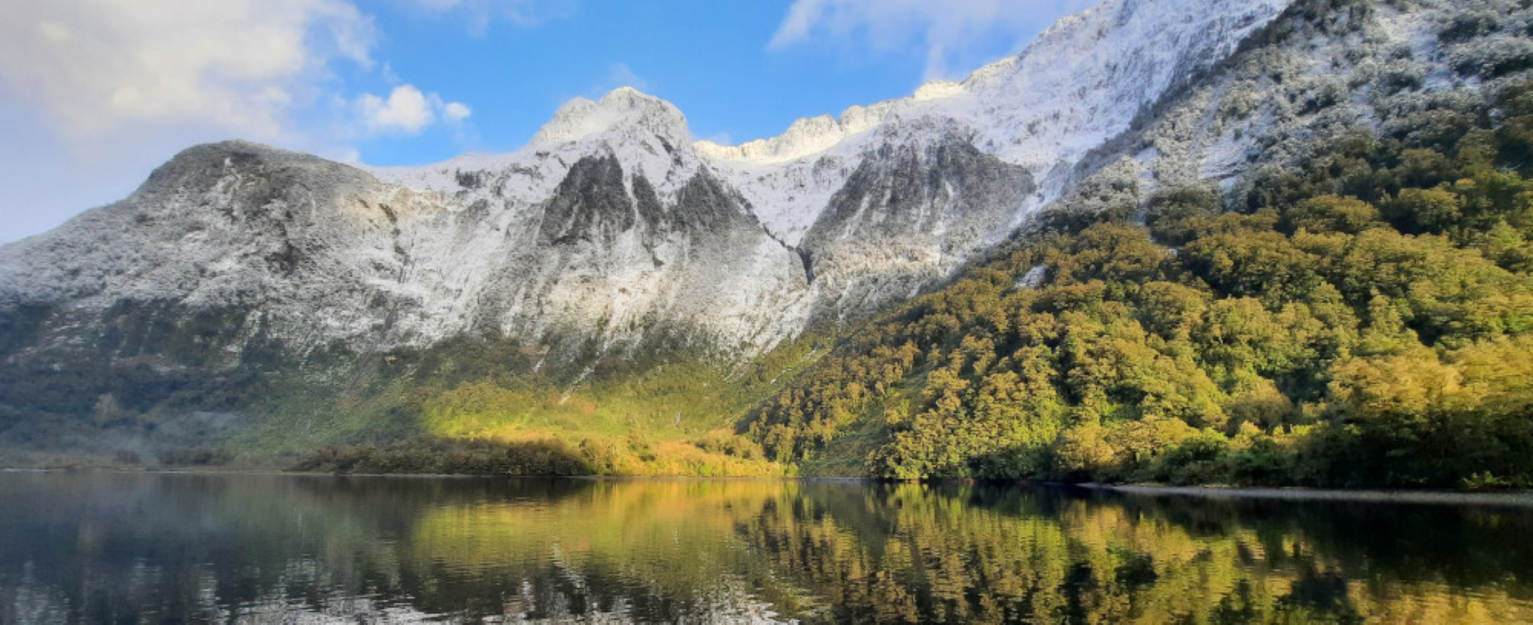 Fiordland South Island New Zealand